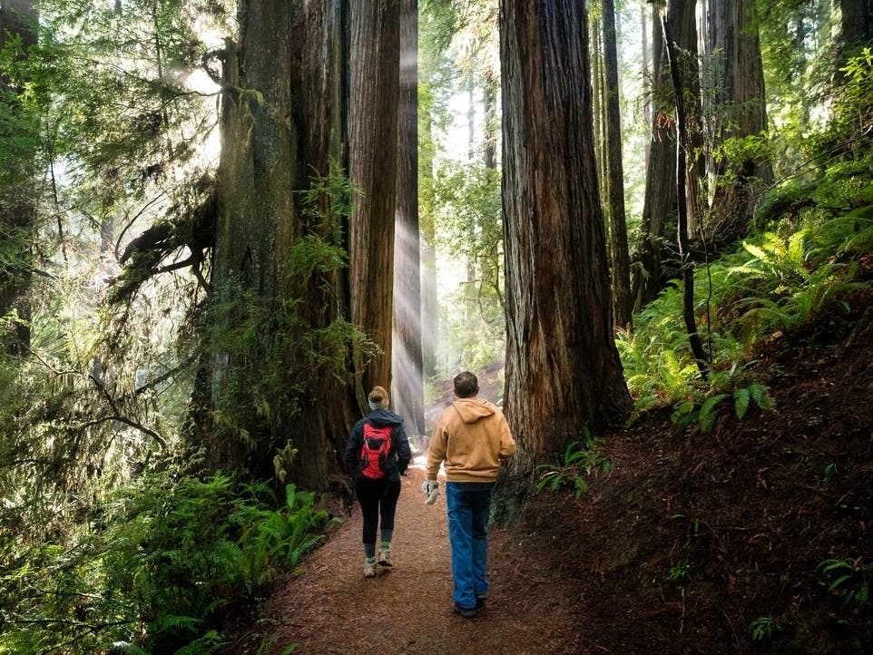 This MI State Park Is Among The Best In The U.S.