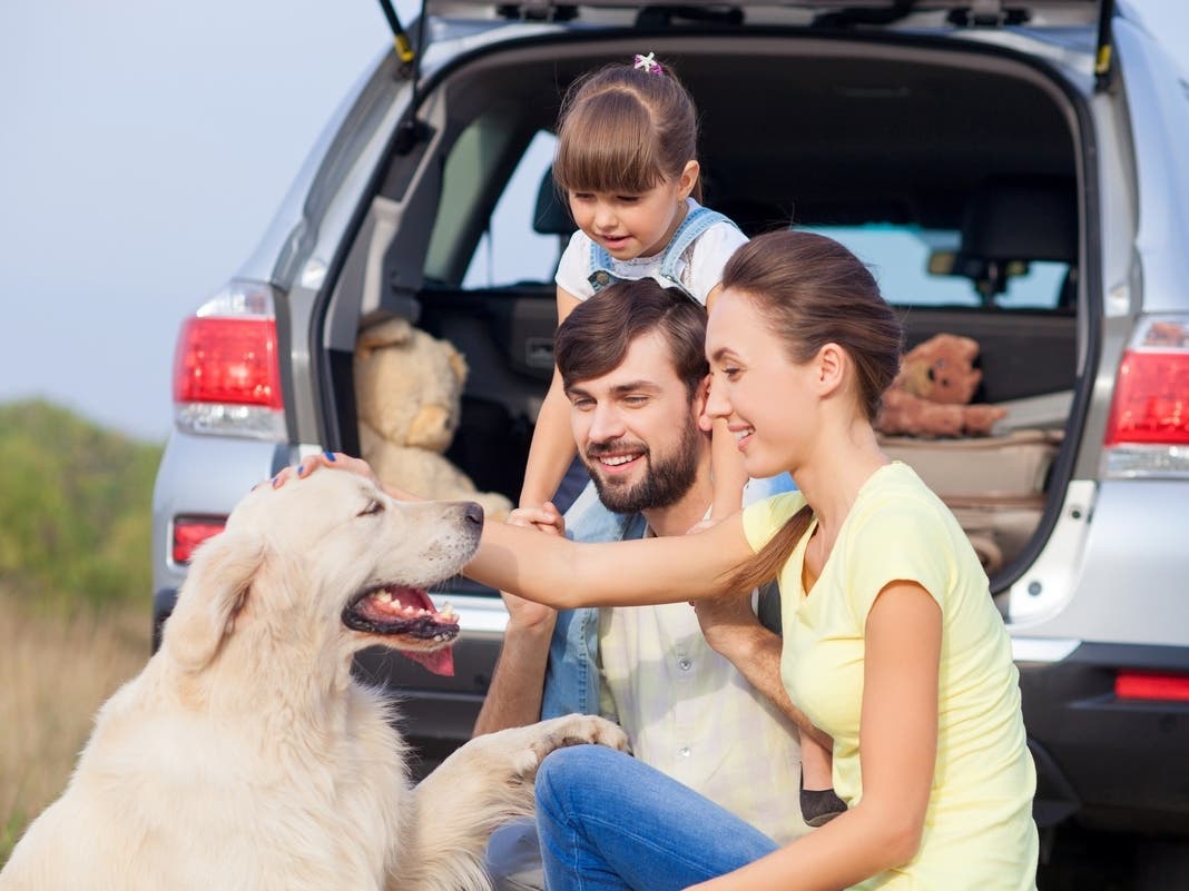 Where To Stay For IL Summer 2026 Road Trips, Staycations