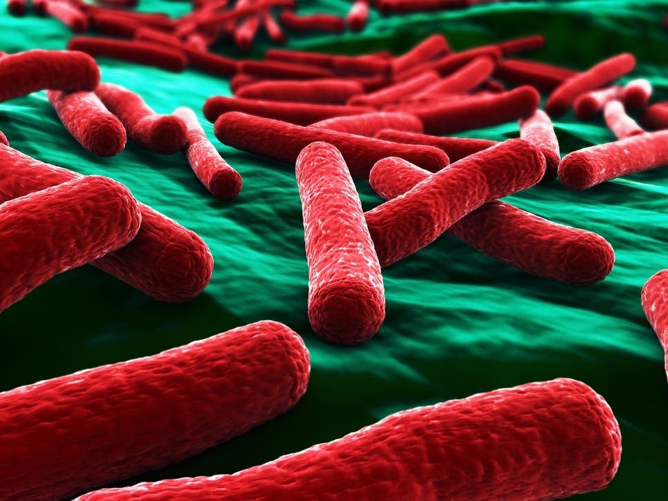 9 Sickened With E. Coli Linked To CA Restaurant Chain, Public Health Officials Warn
